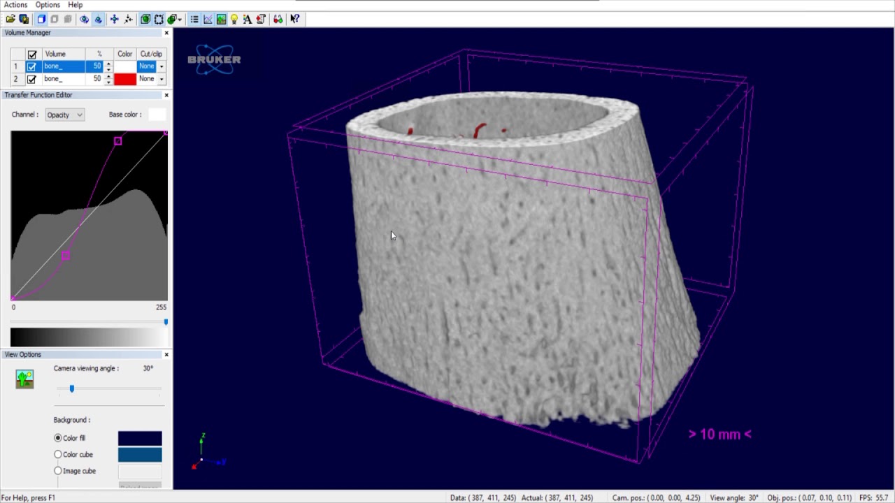 Creating 3D video in CTVox - MicroCT