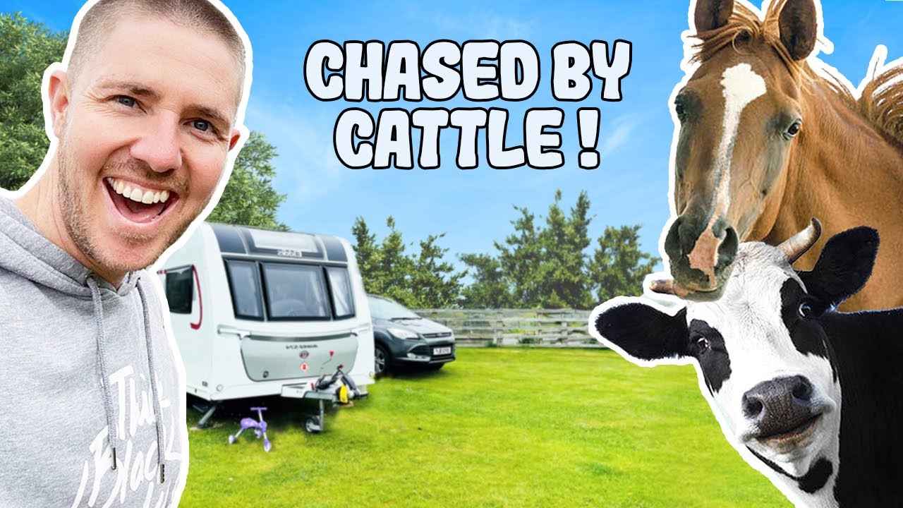 GETTING CHASED BY CATTLE & TOM PEMBERTON NAME DROP | MR DAN SIBLY