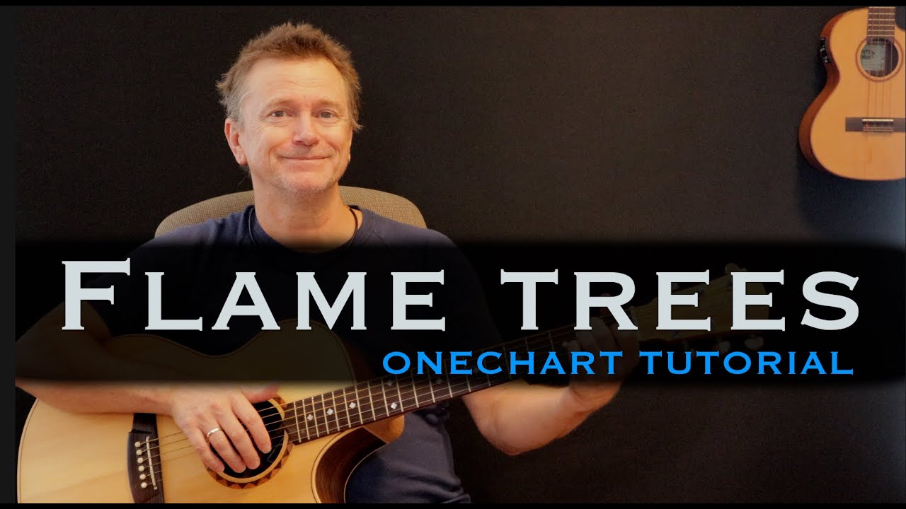 Flame Trees Cold Chisel guitar tutorial | lesson