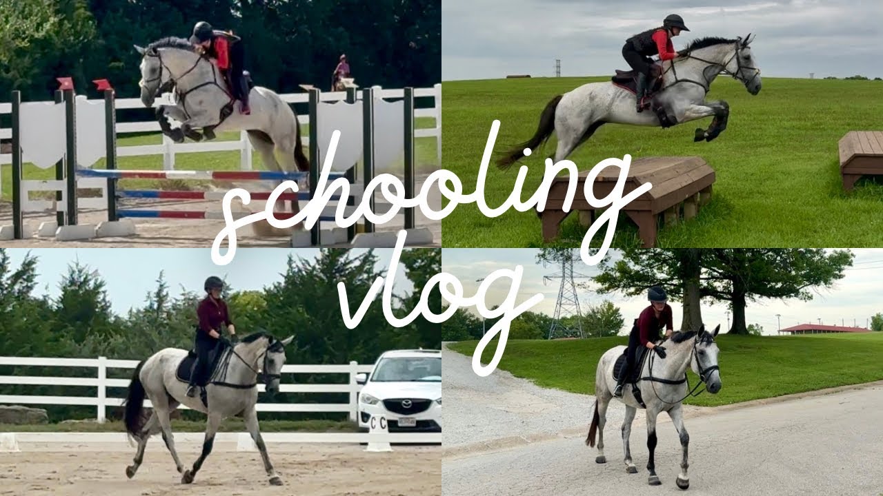 NOVICE SCHOOLING DAY! (dressage/stadium/xc)