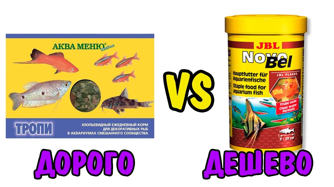 ДОРОГО VS ДЕШЕВО| КОРМ | СРАВНИВАЕМ ДОРОГОЙ КОРМ И ДЕШЕВЫЙ| JBL VS АкваМеню