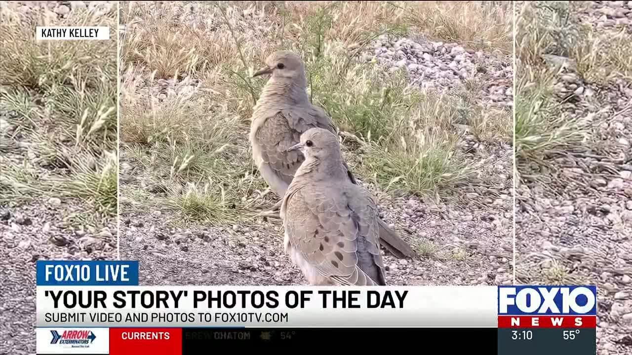 Nicholas and Ashlyn take a look at ‘Your Story’ photos of the day
