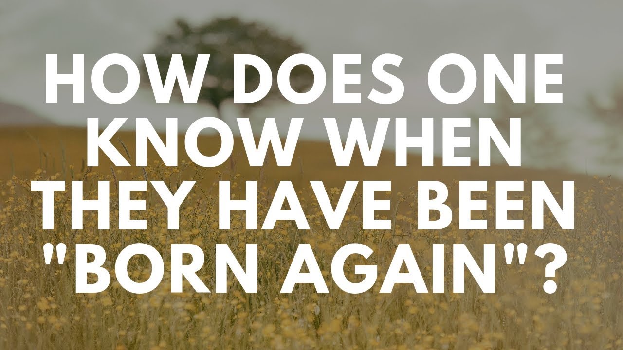 Your Questions Honest Answers