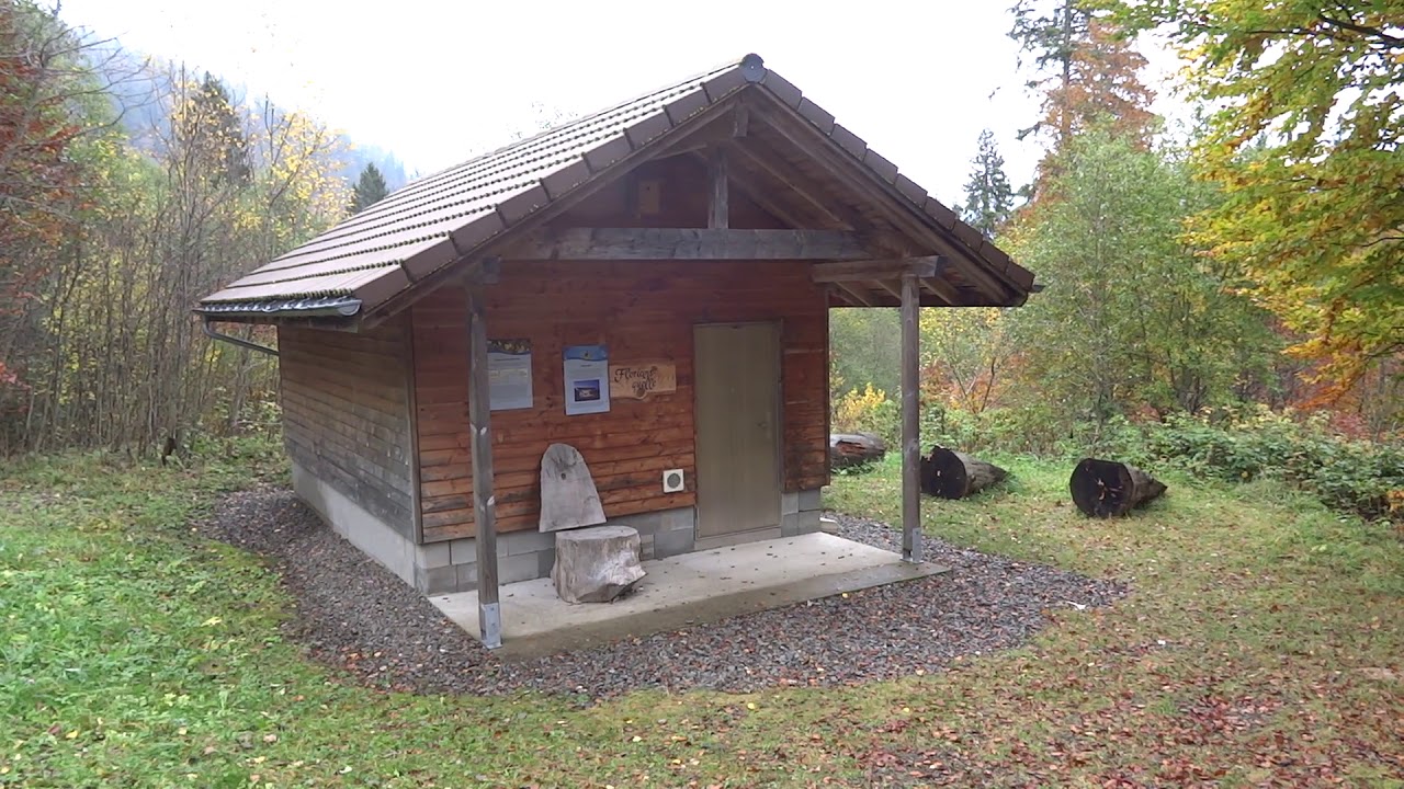Uran-Altbergbau im Krunkelbachtal bei Menzenschwand