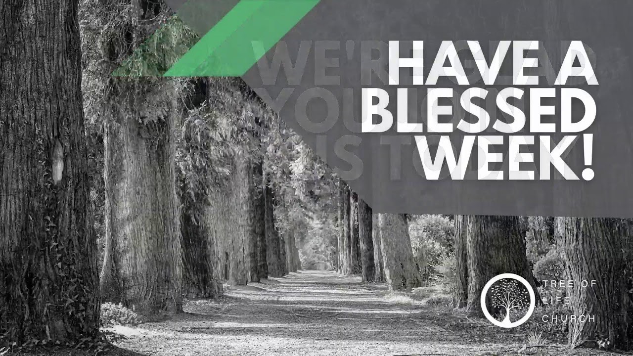 God's Spirit Reveals His Wisdom - Senior Pastor  Joel Urshan