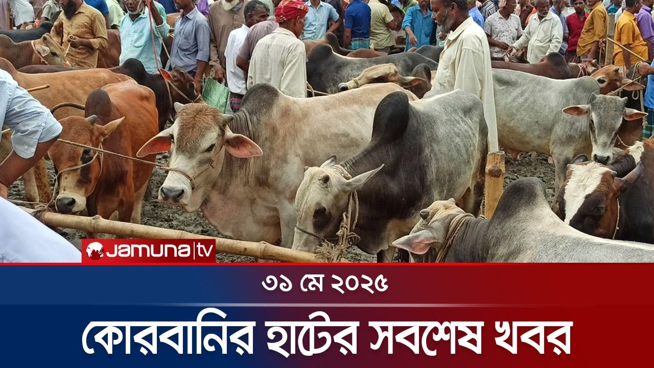 কোরবানির হাট | Qurbanir Haat | 31 May 2025 | Jamuna TV