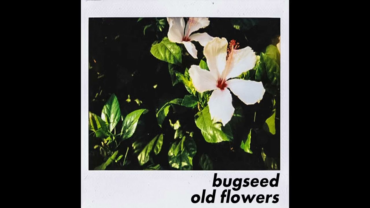 Bugseed - Old Flowers (2014) [Full Album]