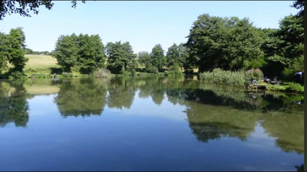 Alders Farm Fishery  - Maggotdrowners pairs Match   -  Summer 2024