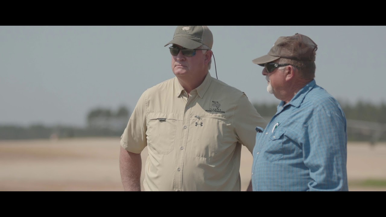 Florida Peanut Industry