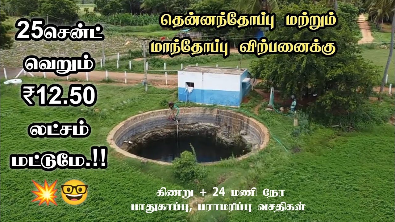 💥🌾🤩 25 சென்ட் முதல் தென்னை & மாந்தோப்பு விற்பனைக்கு | Farm Land For Sale In Madurai | #agriculture