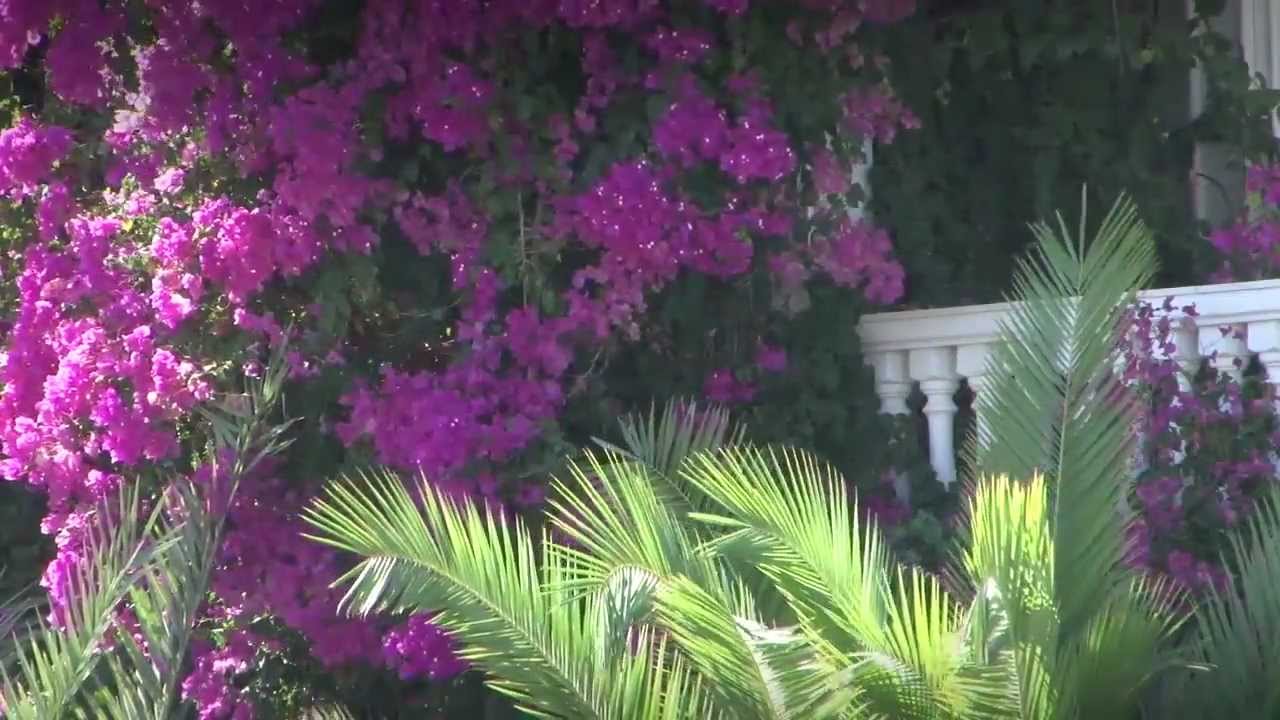 Karpathos Hotel Zephyros Village / Garden Villa