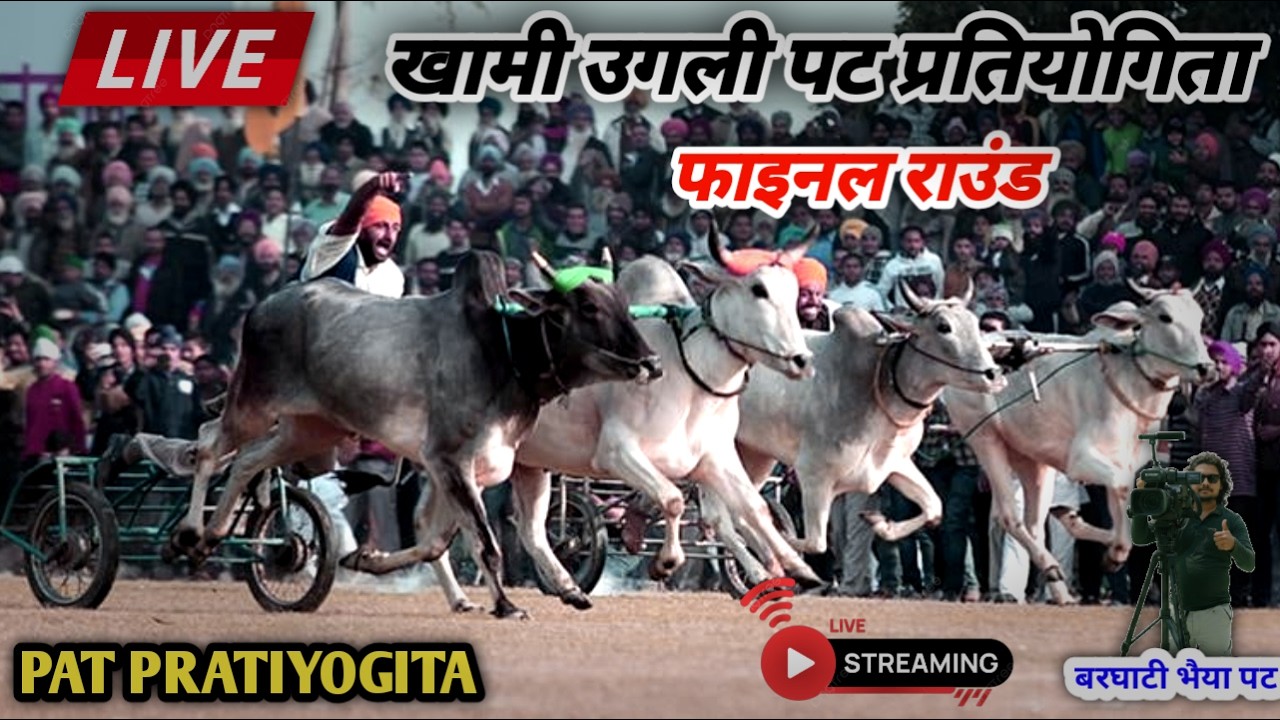 Today Live Final Khami Ugli🔴 खामी उगली पट प्रतियोगिता 🌹 Pat Pratiyogita Videos 😍 Barghati Bhaiya