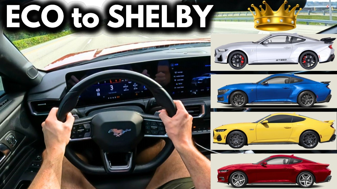 S650 Mustang: What's the BEST One to Buy?