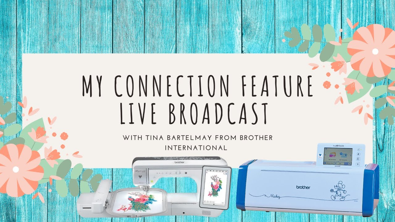 Tina Bartelmay My Connection Feature