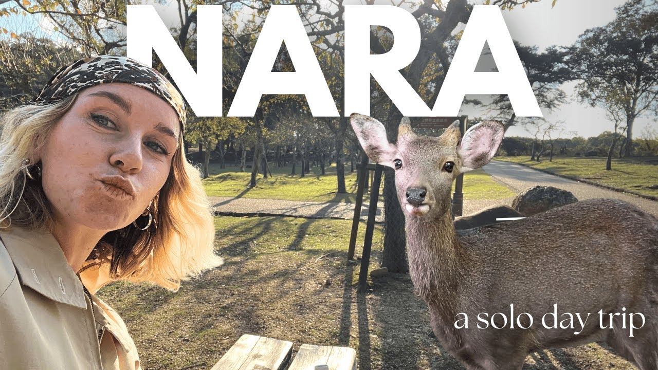 Nara Day Trip from Osaka: Deer Park, Hidden Shrines & Solo Adventures | Japan Travel Guide