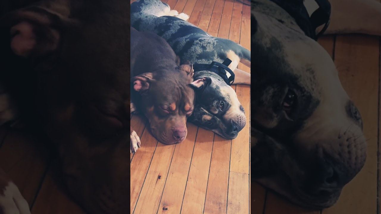 After a long day of being a “Toxic Couple” 