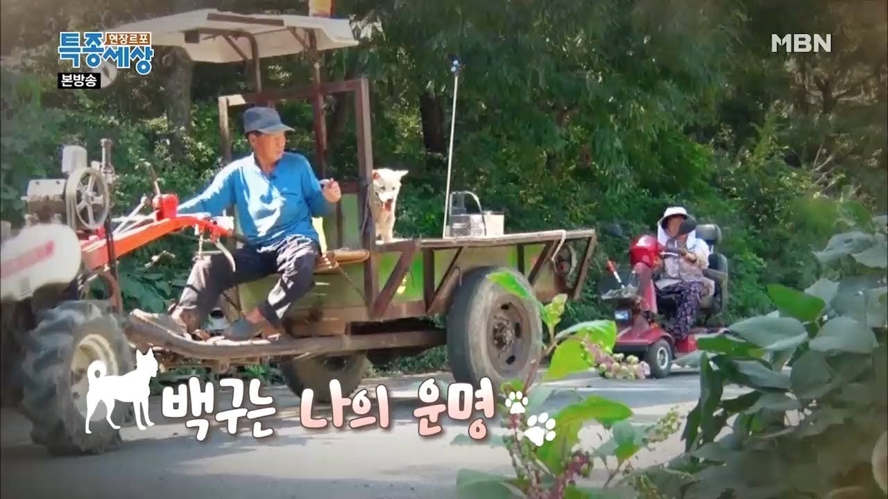 17살 '노년' 백구와 사랑에 빠진 할아버지 [현장르포 특종세상 394회]