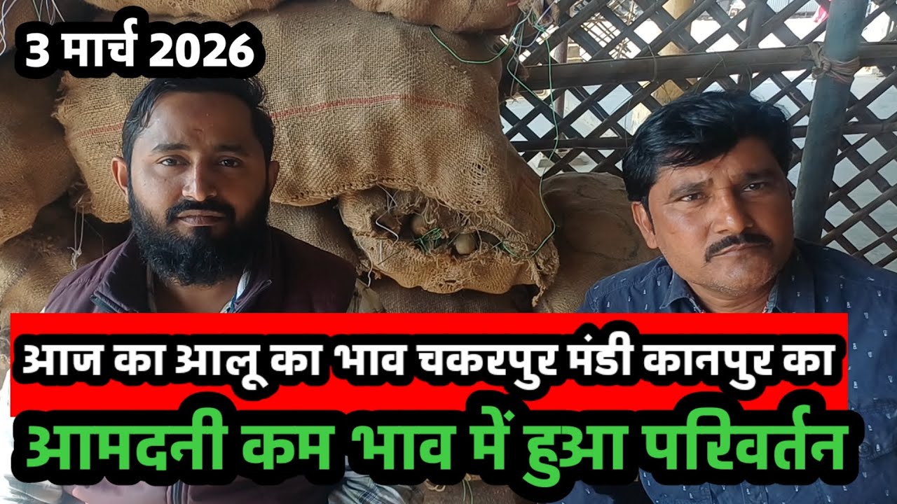 आज का आलू का भाव चकरपुर मंडी कानपुर का 3 मार्च 2026 