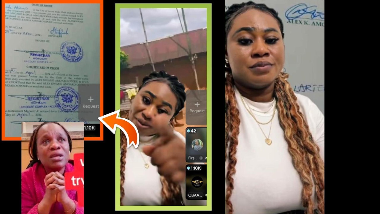 Abena Papabi lěᾷks Fredda afriyie 's hidden dǒcůments and promised to lěᾷk even more