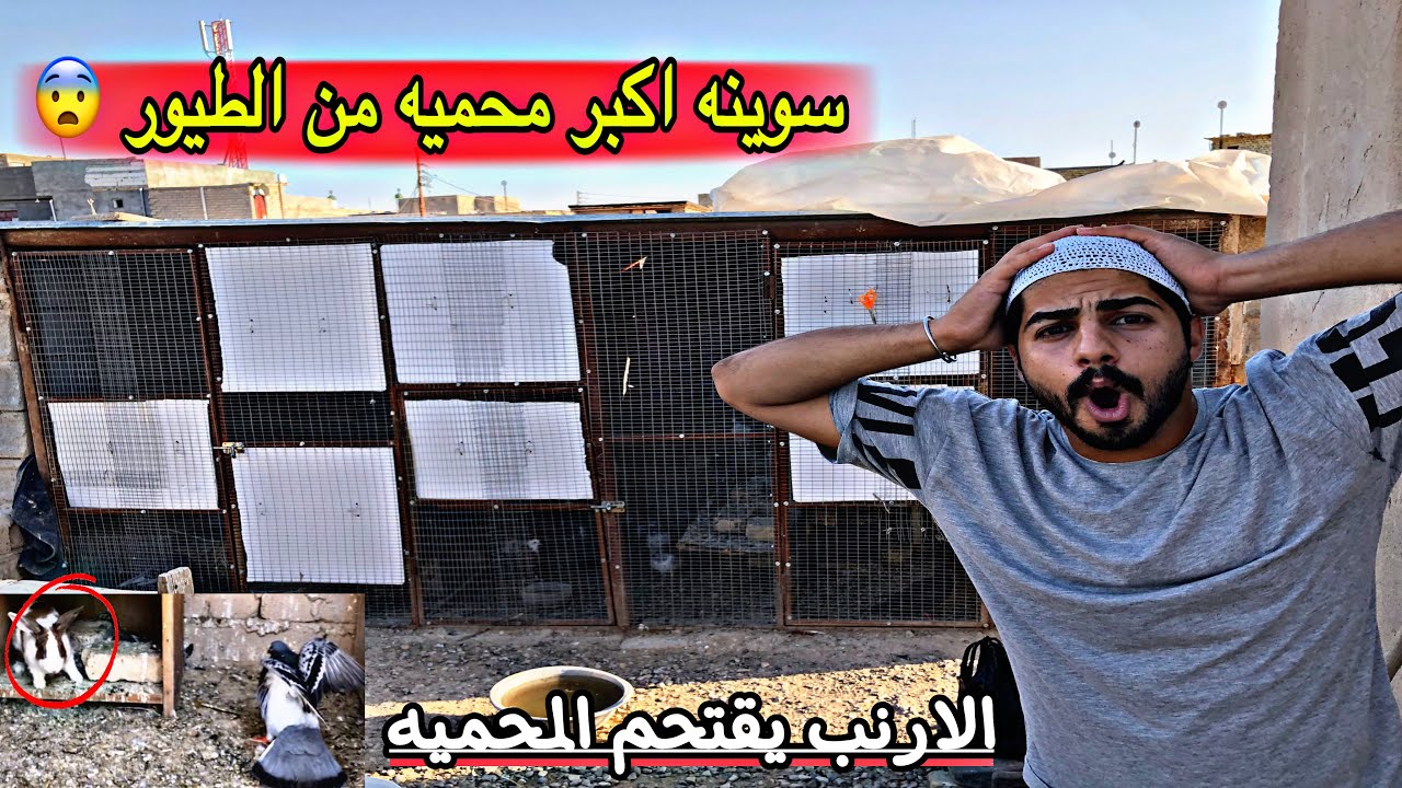 حققت طلبكم وسويت  اكبر محميه من الطيور  _ اتحده كل المطيرجيه _ ارنبي يقتحم المحميه 😨