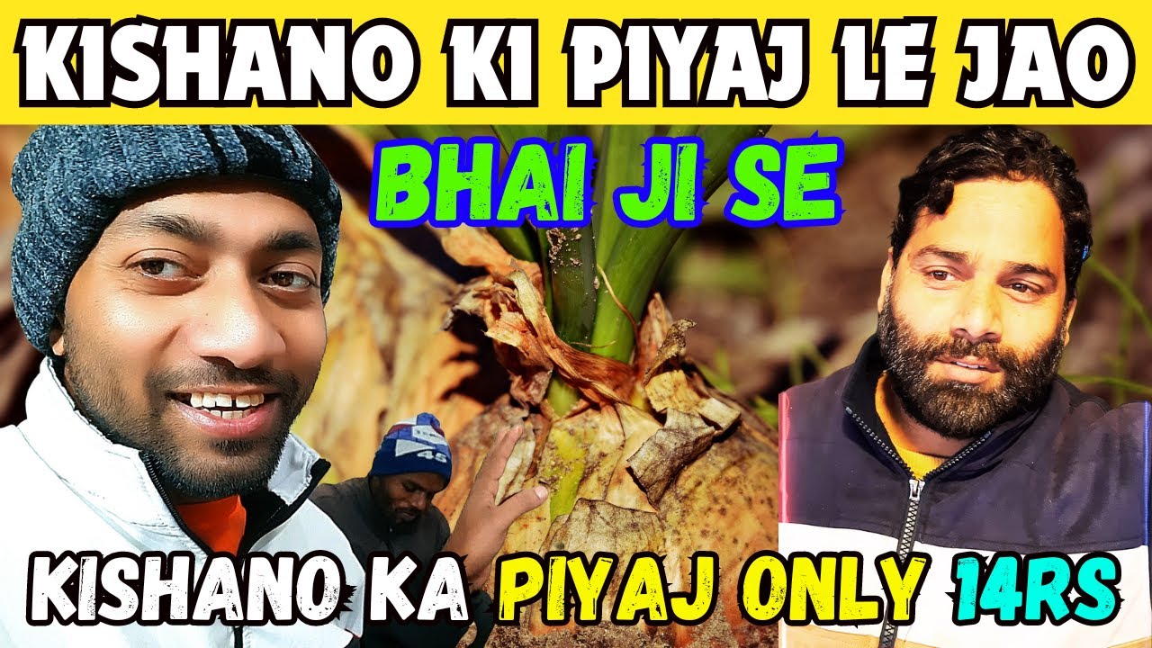 #Kishan no ka piyaj le jao bhai ji se / Chep price Onion wholesaler / Okhla mandi delhi / #minivlog,