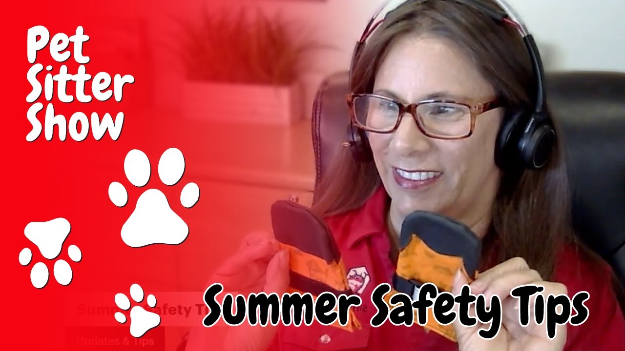 Summer Dog Walking Safety Tips + TLC&rsquo;s Services to Keep Your Dog Cool