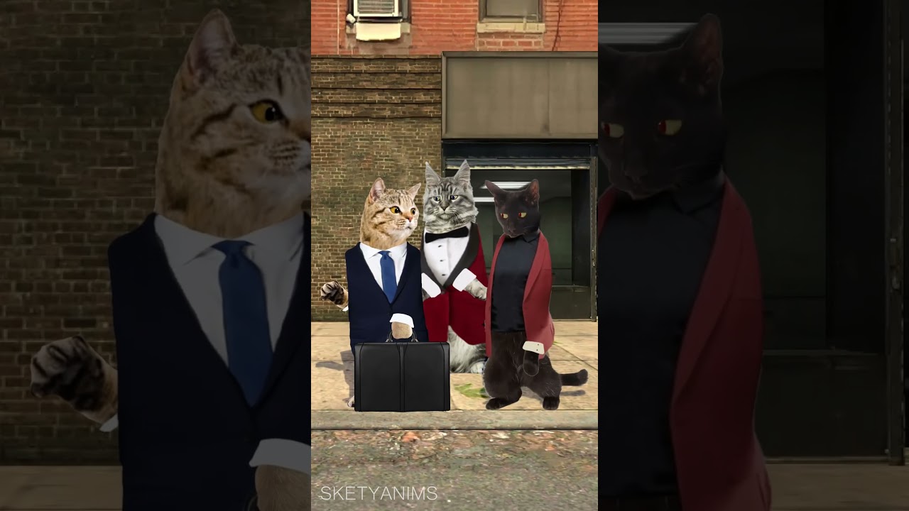 Secret Cat Business