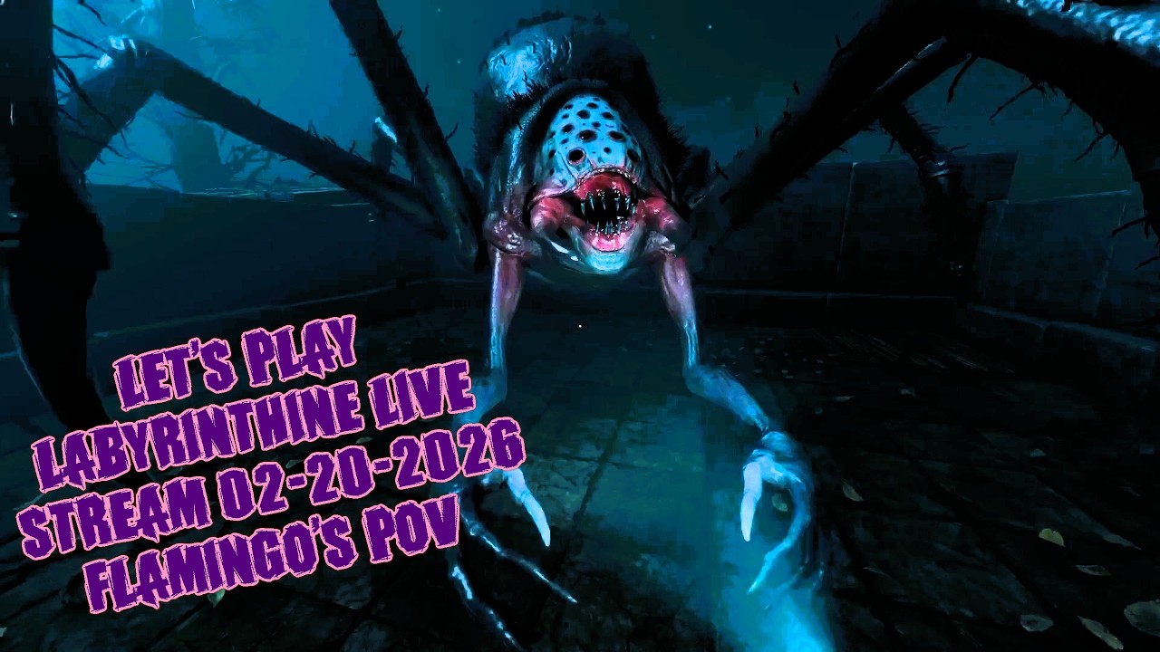 Flamingo's POV: Let's Play | Labyrinthine