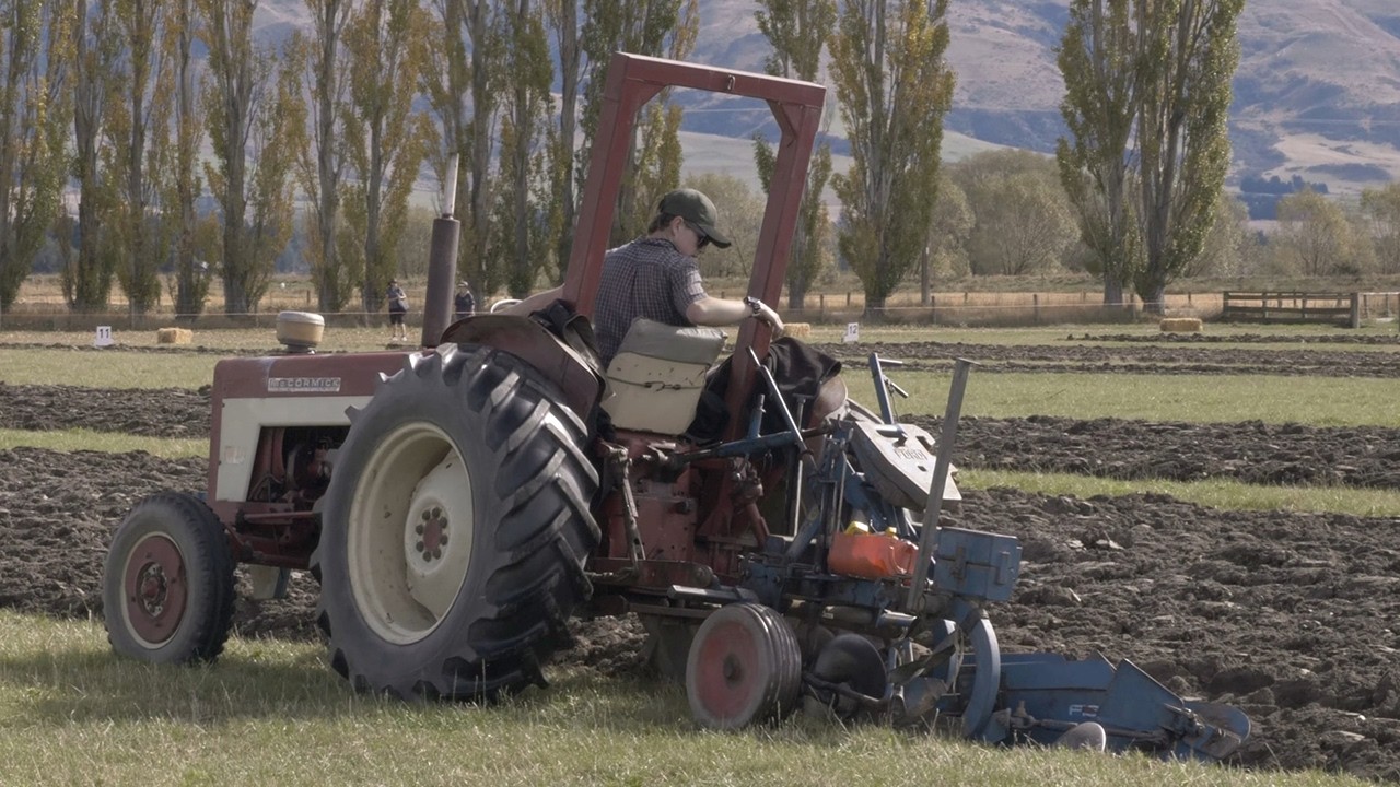 Vintage International Harvester 434 Tractor Ploughing