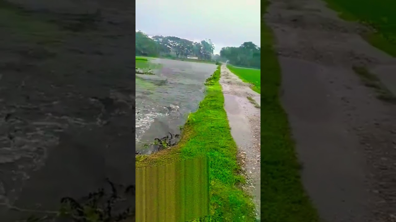 Flooded village #dooars #ruralvillage #heavyrain #flood #viralshort