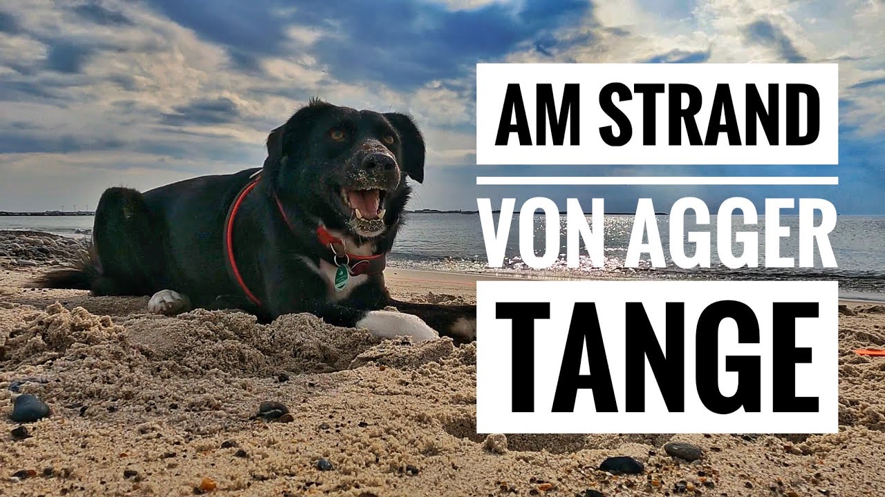Am Strand von Agger Tange