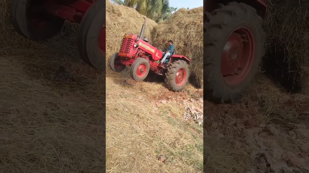Tractor trolley video || 🧐 #shorts #youtubeshorts #tractor