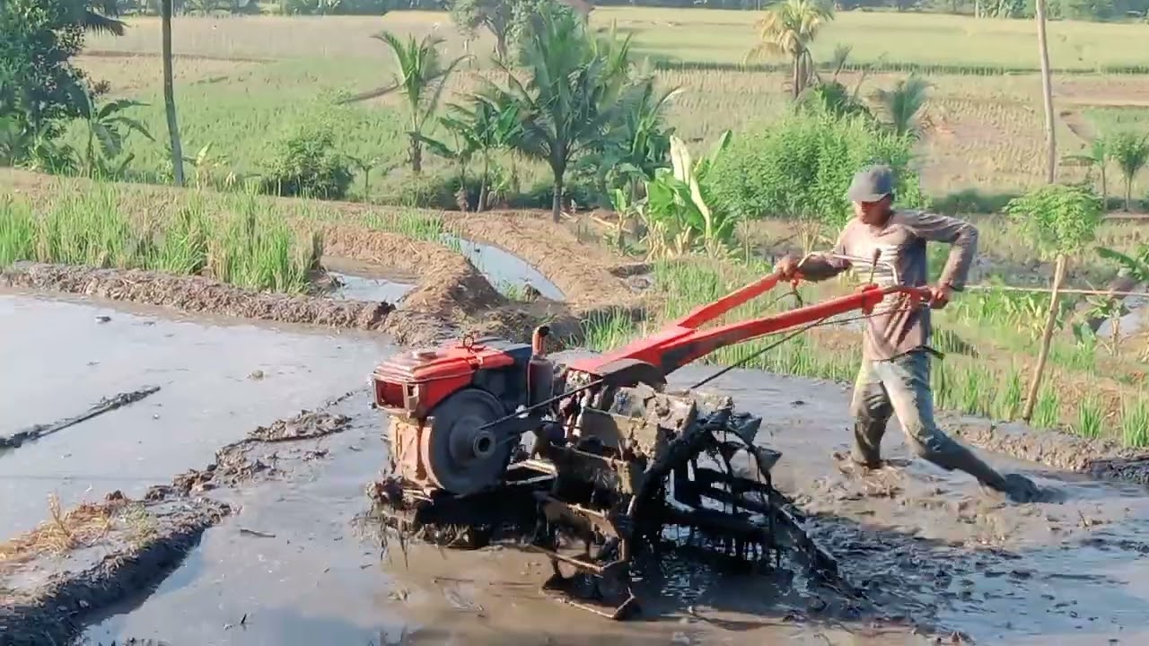 traktor sawah zeva Quick dan traktor kubota g1000 duet roda besar dabel jelike