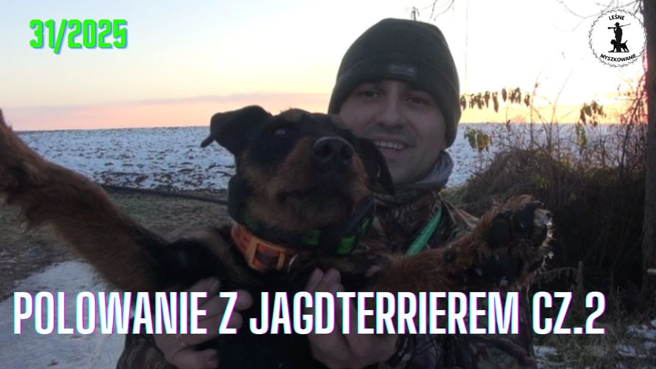 LEŚNE MYSZKOWANIE- 31/2025 Polowanie z jagterrierem cz.2
