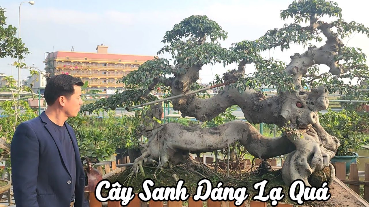 Một TP rất độc đáo kỳ vĩ của bạn Dương Nguyễn ở TP Nam định 