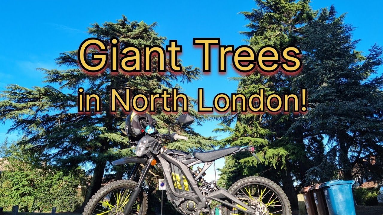 Taking the Sur-Ron Road Legal to go and see Giant Trees in North London! #surron #surronroadlegal