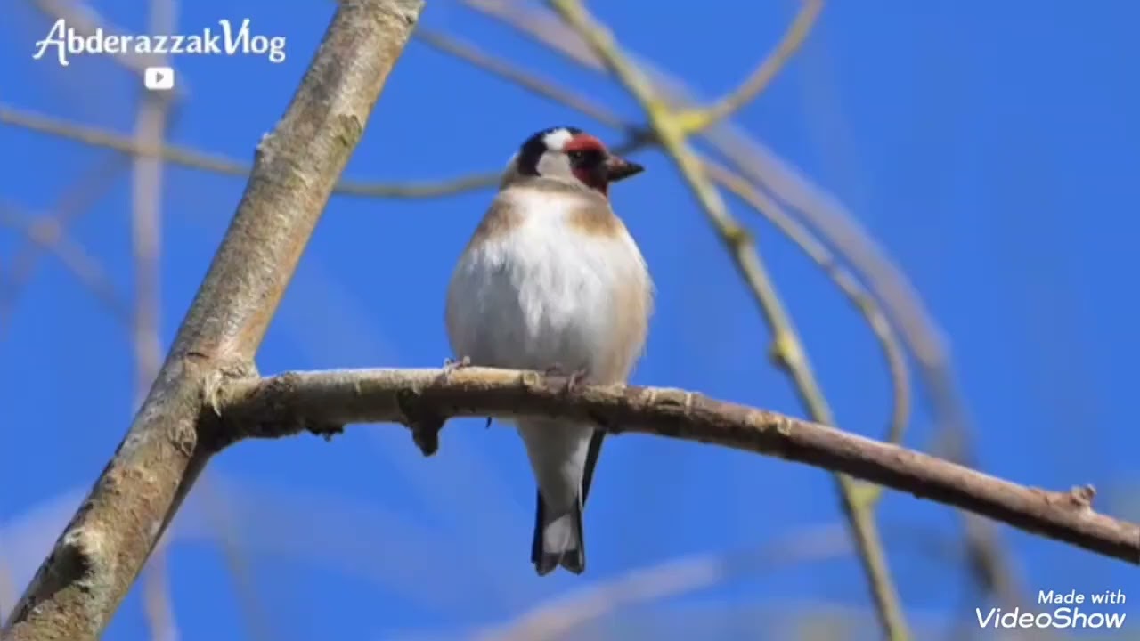 السلام عليكم ورحمه الله تعالى وبركاته لا تنسونا اخوان من دعائكم ان شاء الله