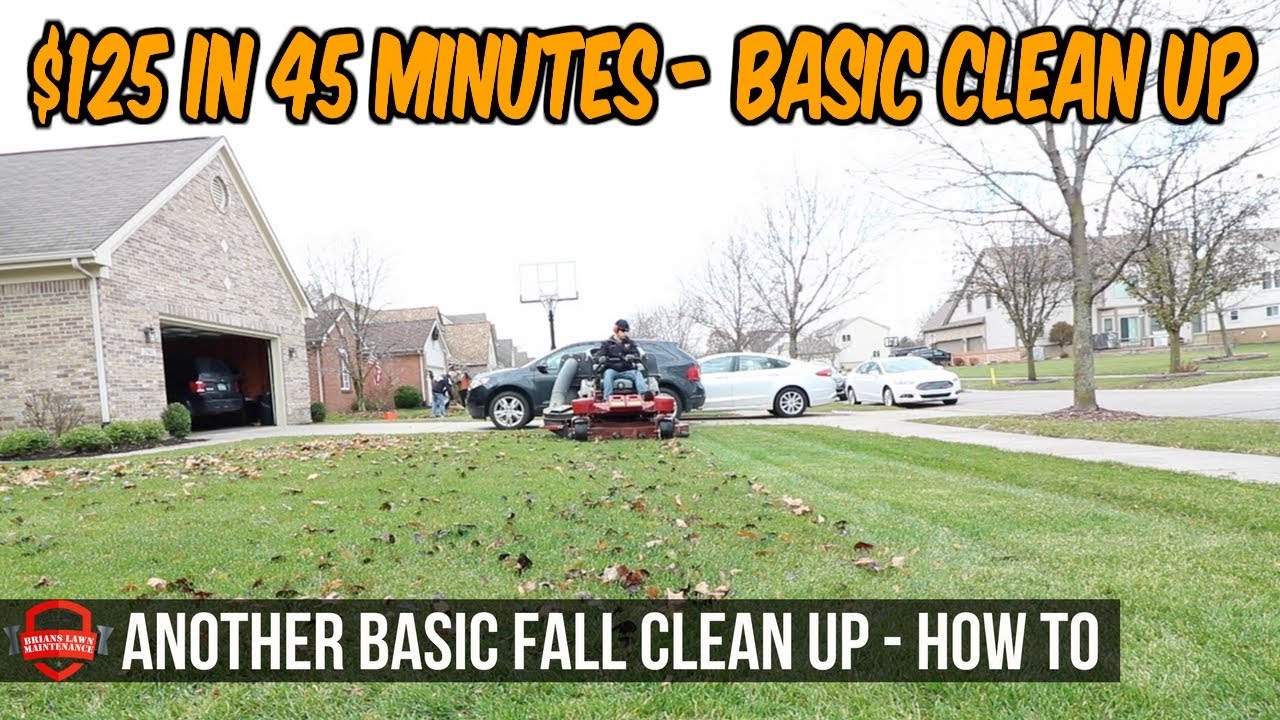 $125 In 45 Minutes, How To Do A Fall Leaf Clean Up #3, Bagging Leaves | Simple Basic Clean Up