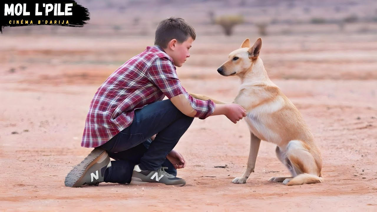 ولد يلتقي بكلب بري فينقذه من عصابة حاولوا اختطافه😱 للسيطرة على مزرعة جده😰||ملخص🎦 𝐁𝐮𝐜𝐤𝐥𝐞𝐲'𝐬 𝐂𝐡𝐚𝐧𝐜𝐞