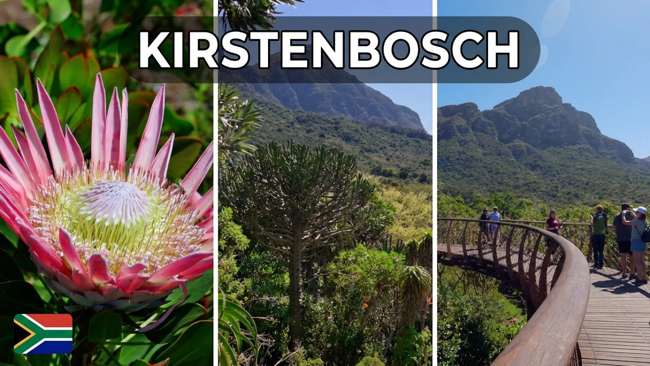 Kirstenbosch National Botanical Garden (Cape Town)