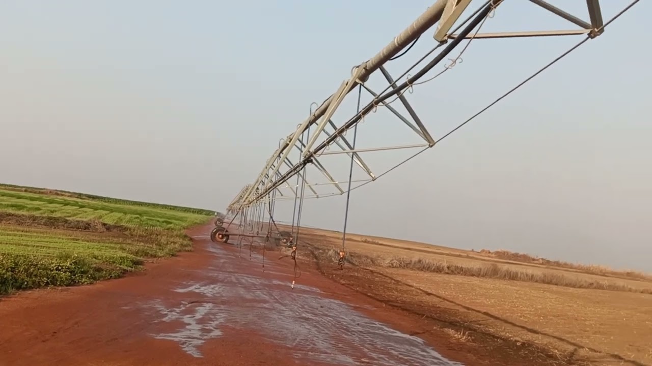 Day 52 Onion Fertilizer Application | Pump Cleaning & Daily Irrigation Management | Farm Vlog