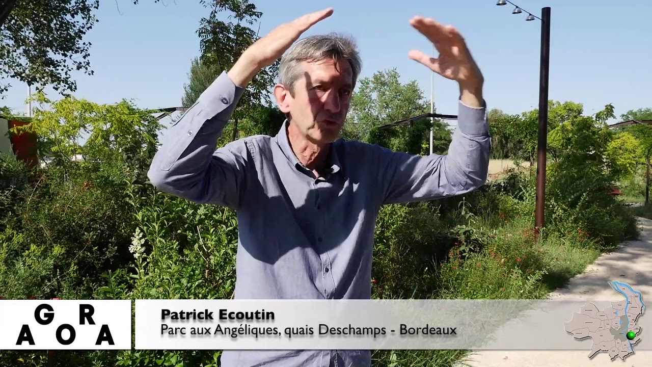 Bordeaux et ses paysages