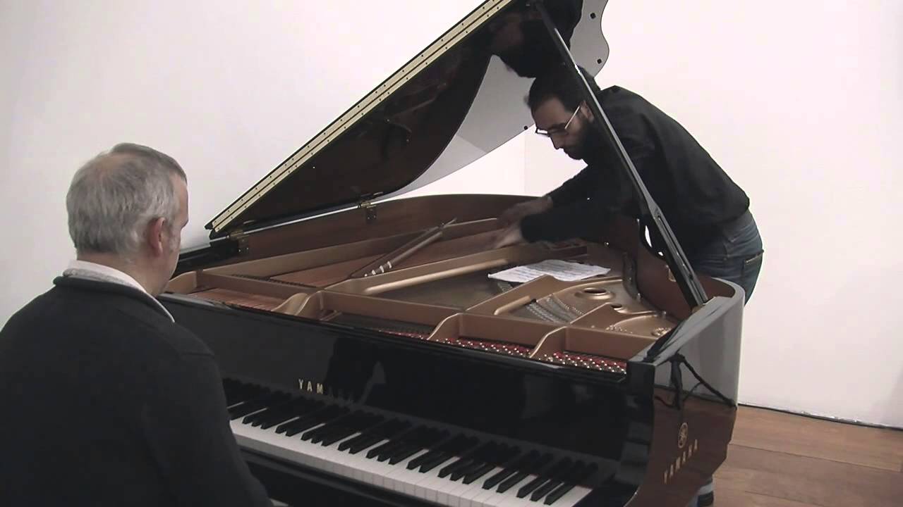 The Banshee - Henry Cowell (1925)