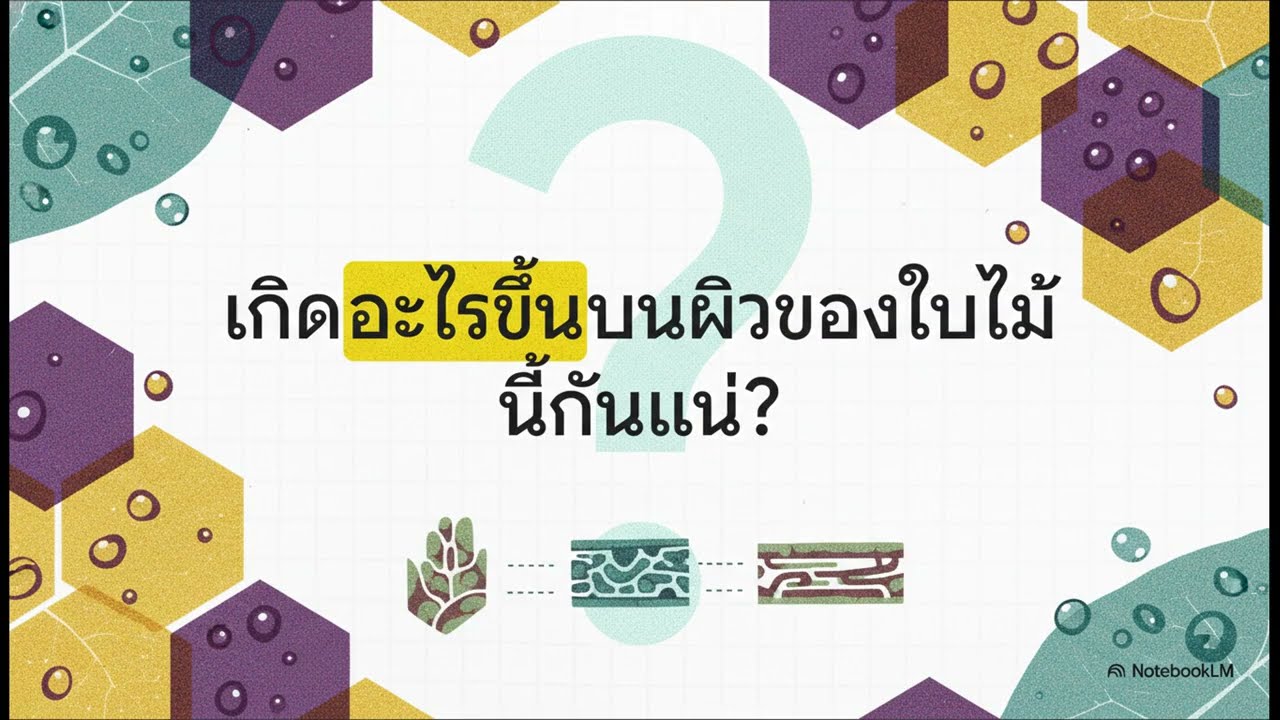 จากสำนวนสู่นาโนเทคโนโลยี