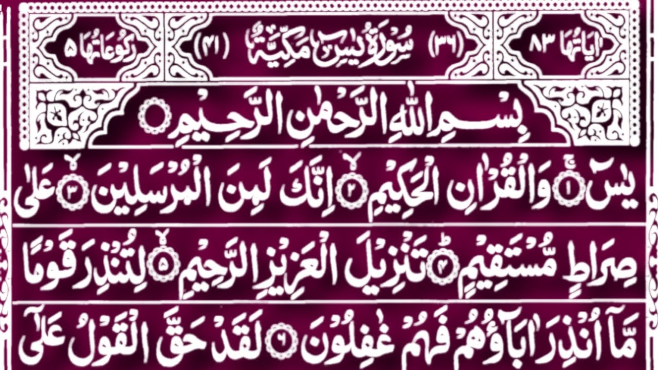 Surah Yaseen | Surah Yaseen Ki tilawat | Surah Yaseen Sharif Ki tilawat | Yaseen Surah | Ep-52