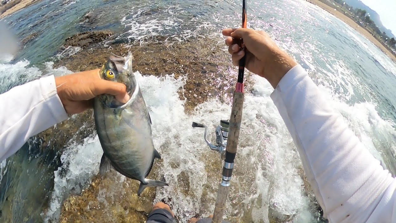 דייג טרכונים חגיגה ראשונה לעונה !!!🌊🎣🎣|blue runner fishing
