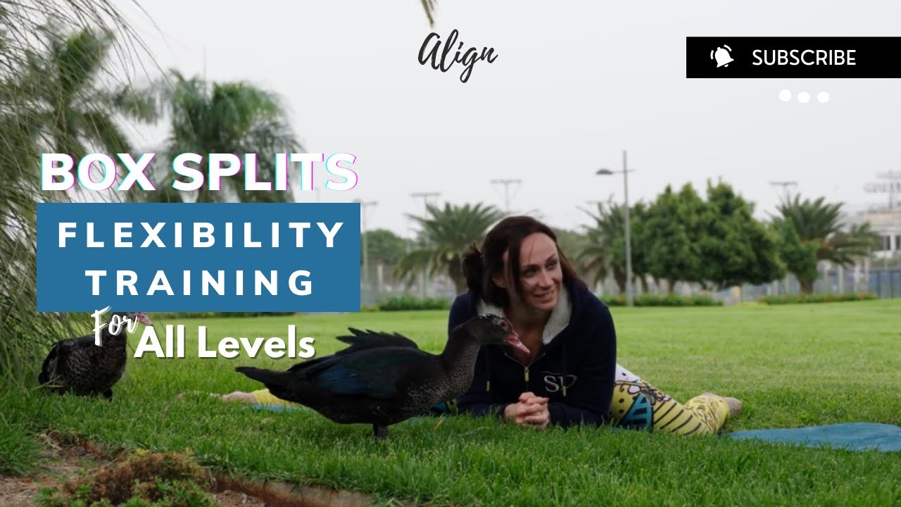 Box splits flexibility training for all levels