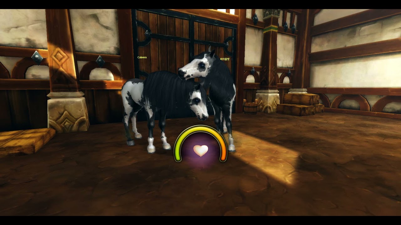 Short Black Frame Overo coat breeding