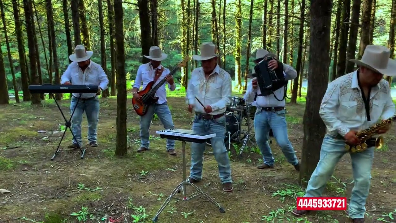 Popurrí De Charanguitas - Grupo Nativo 