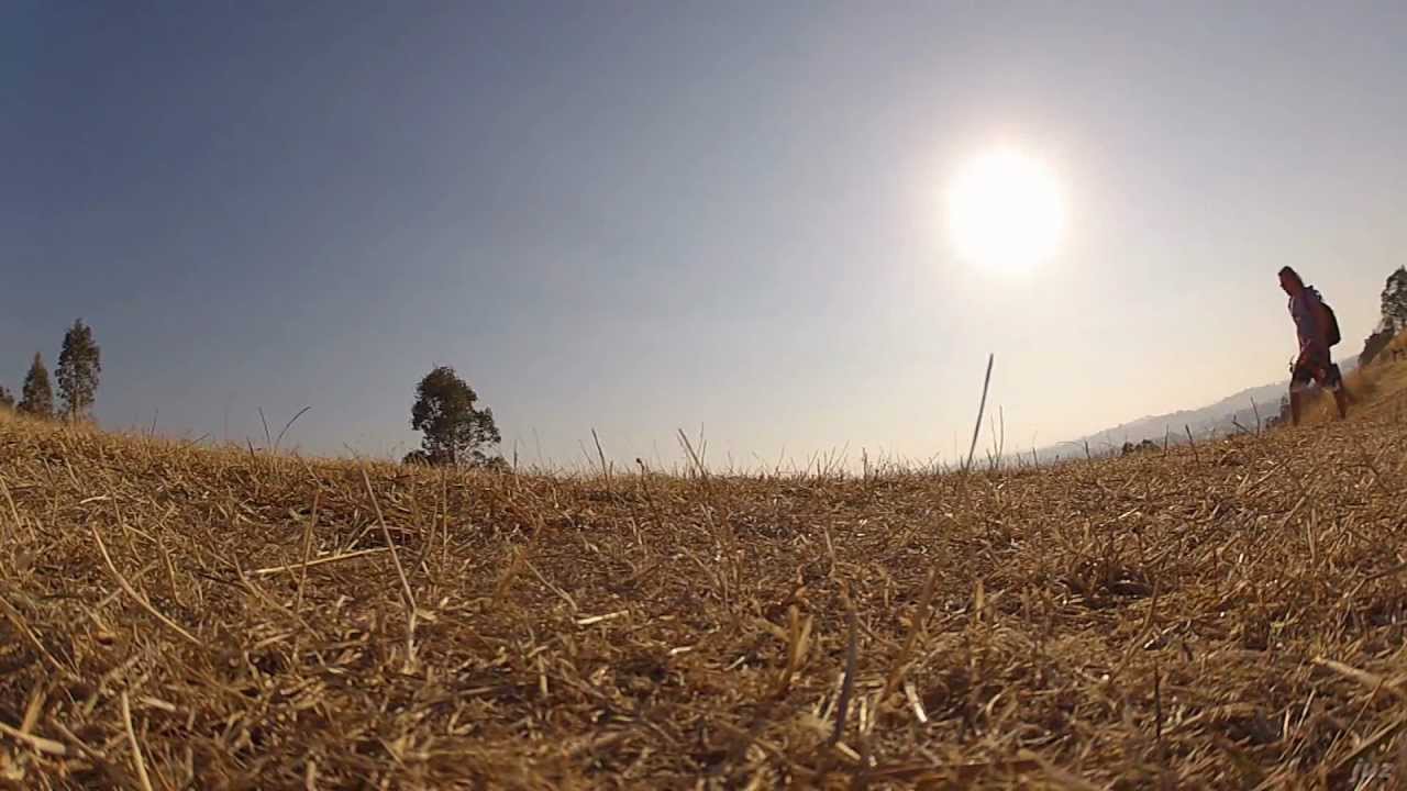 FPV - summertime